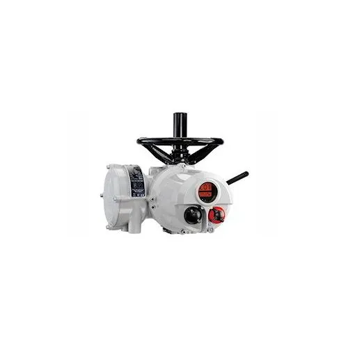 Actuator CH65210104 Rotork