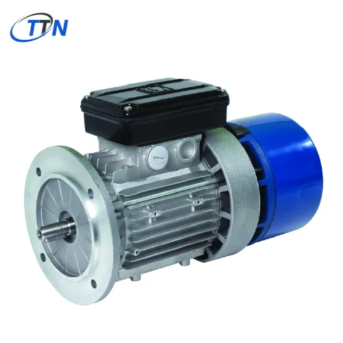 Asynchronous, standard and brake motors – 120Hz M.G.M. Motori Elettrici S.p.A.Vietnam