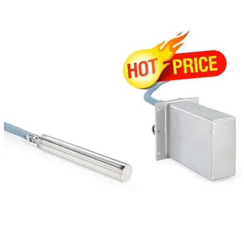 Berthold GAMMAcast Detectors Đầu dò