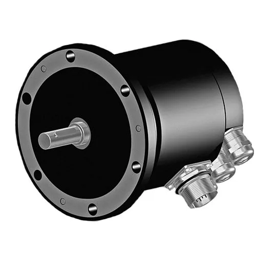 Bộ mã hóa tuyệt đối 11075638 / AMG81 P29 Z0 Baumer