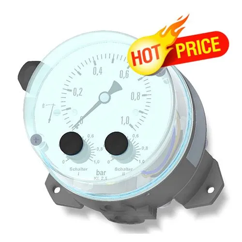 Cảm biến chênh áp DS11 FISCHER