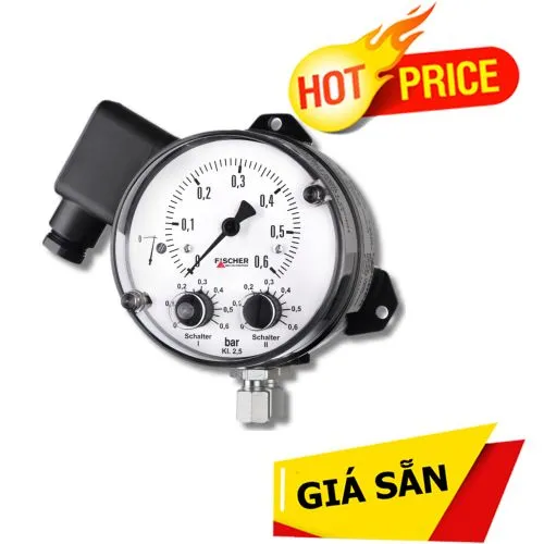 Cảm biến chênh lệch áp suất DS21050A22A10W00 Fischer