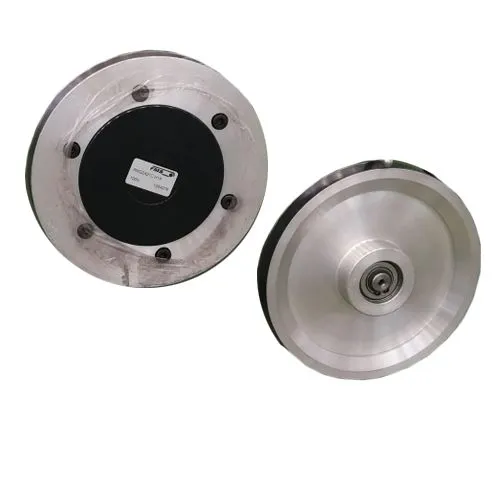 CẢM BIẾN LỰC LƯỢNG CHO PULLEY RMGZ400C.200 FMS