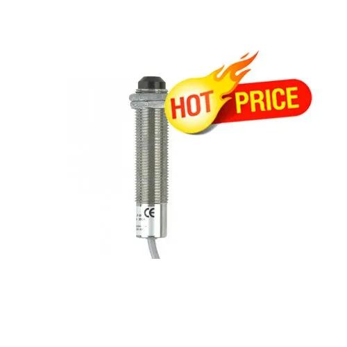 Cảm biến nhiệt độ hồng ngoại Raytek CI- Raytek RAYCI2A