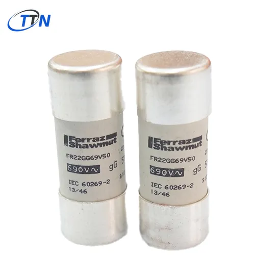 Cầu chì ống công nghiệp Mersen FR22GG69V50 (Size 22x58, 50A, 690V)