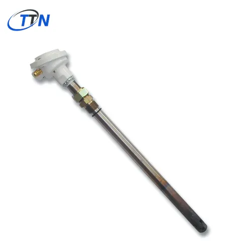 ĐẦU DÒ CARBON NHIỆT KẾ AP11-00121 Watlow Vietnam
