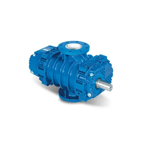 ĐẦU MÁY THỔI KHÍ ROBUSCHI ROBOX RBS 115/V ROBUSCHI