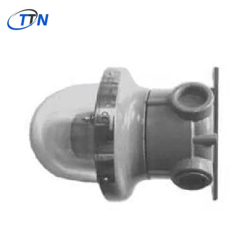 Đèn nháy Xenon EVC 50 -48 ATEX System Vietnam