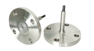 Diaphragm seal for Pressure Instrument – Vòng đệm dạng màng cho thiết bị áp suất Wise Control Vietnam