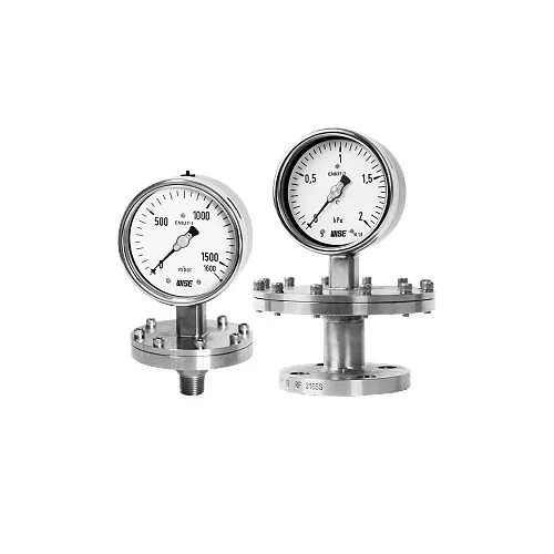 Diaphragm seal type pressure gauge P711XAJEAAH029EX0 wise control