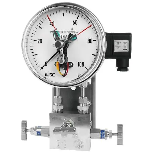Differential pressure gauge P6206D4EFH04730 Wise control