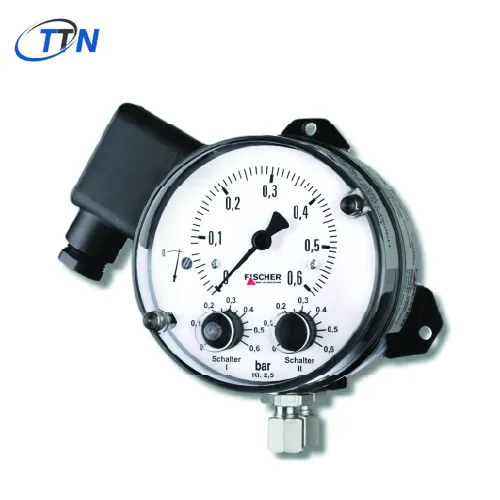 Đo chênh lệch áp suất DS21010A21BK0W00U0700 FISCHER Vietnam