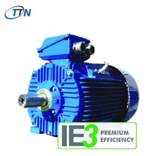 ĐỘNG CƠ 3SIE160M4 Cantoni Vietnam