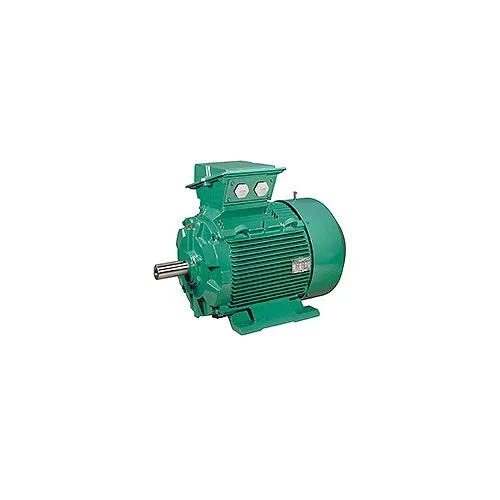 Động cơ ba pha FLSES NIDEC ACIM