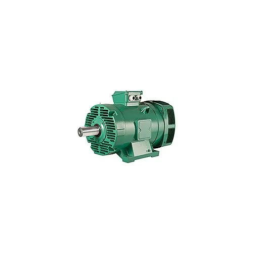 Động cơ ba pha - Leroy-Somer PLSES NIDEC ACIM