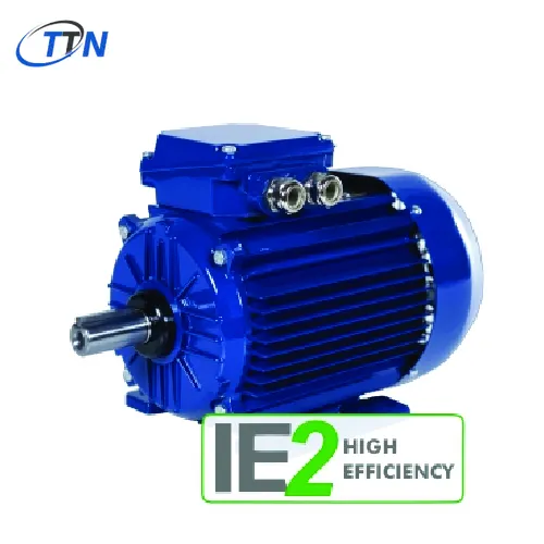 Động cơ ba pha với rotor lồng sóc IE2 2SIE Cantoni Vietnam
