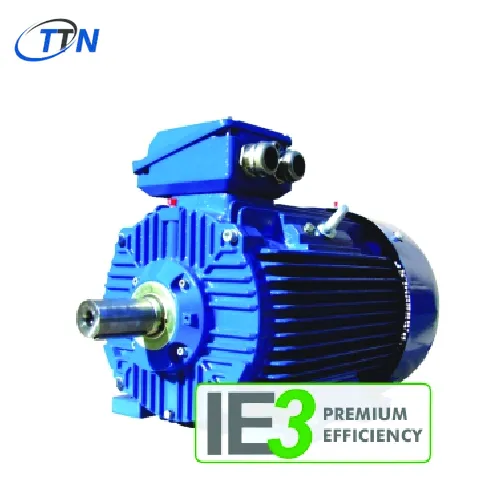 Động cơ ba pha với rotor lồng sóc IE3 SIE Cantoni Vietnam