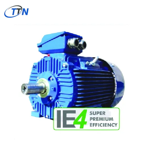 Động cơ ba pha với rotor lồng sóc 4SIE200L4 Cantoni Vietnam