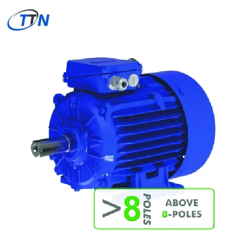 Động cơ ba pha với rotor lồng sóc TRÊN 8 CỰC Cantoni Vietnam
