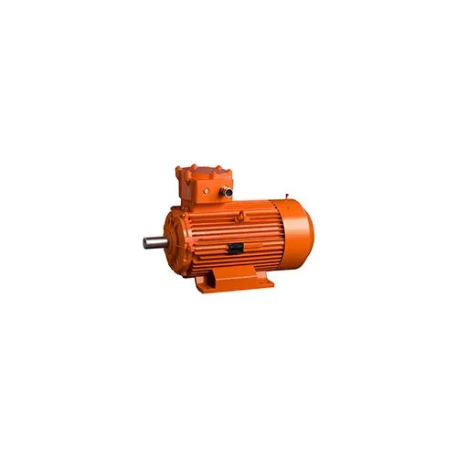 Động cơ cảm ứng FLSD - zone 1 NIDEC ACIM