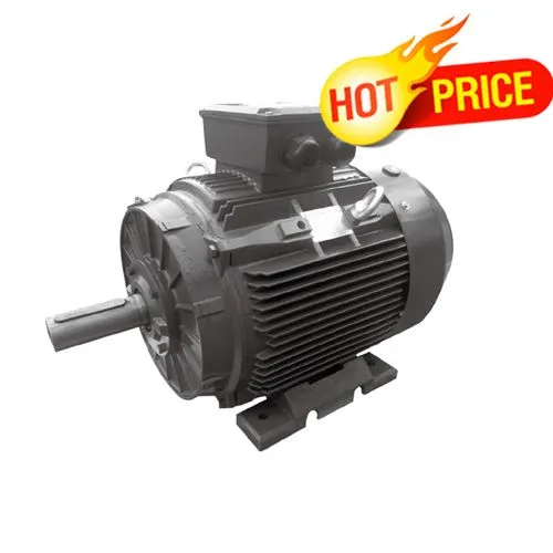 Động cơ cảm ứng T3C 315L2-6 TECHTOP