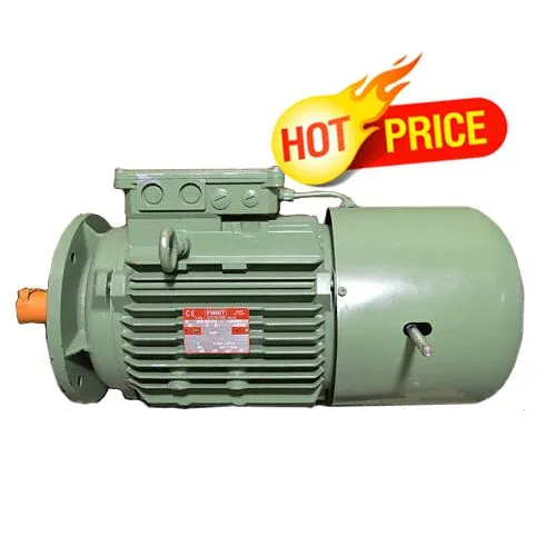 Động cơ điện Fimet model AA 132 S 4 + V4 132 - Motor Fimet