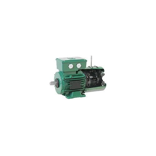 Động cơ hãm - Leroy Somer FFB NIDEC ACIM