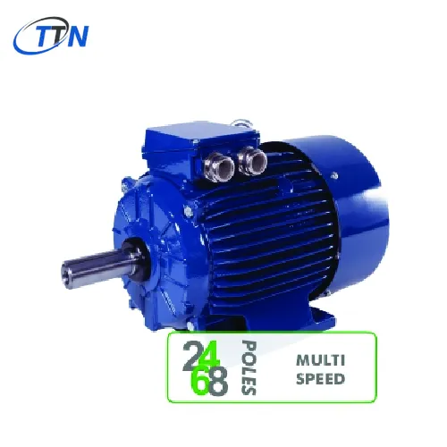 Động cơ lồng sóc ba pha 2Sg Sg Sh series Cantoni Vietnam