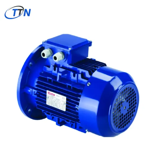 Động cơ nhôm ba pha 3B0904E10A.010 ELVEM Vietnam