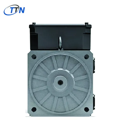 Động cơ servo DSD2-100LO65U-20-54-AOB-MNP-K-AN-O+DA1 Baumüller Vietnam