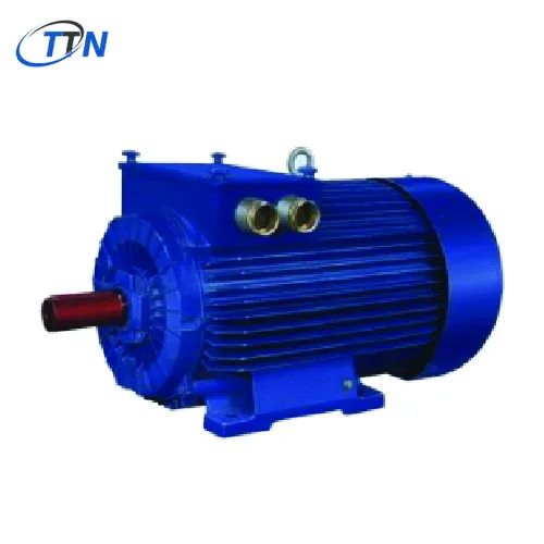 Động cơ vòng trượt ba pha dòng SUv-SIem Cantoni Vietnam