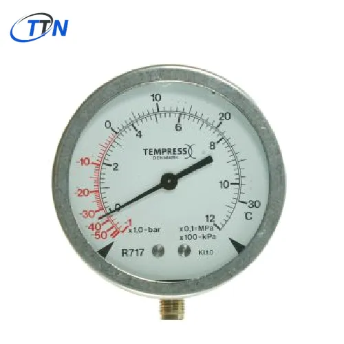 Đồng hồ đo áp suất DN100 R19767 Tempress Vietnam