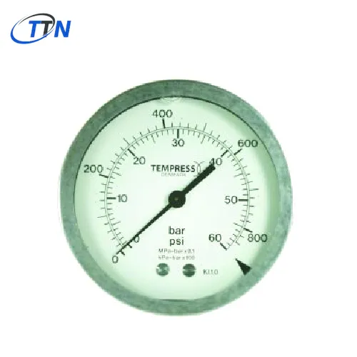 Đồng hồ đo áp suất DN63 Loại A10 Tempress Vietnam