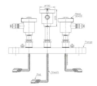Explosion proof Multi point thermocouple and resistance temperature detector Đầu dò nhiệt độ điện trở và đầu dò nhiệt độ đa điểm – chống cháy nổ Wise Control