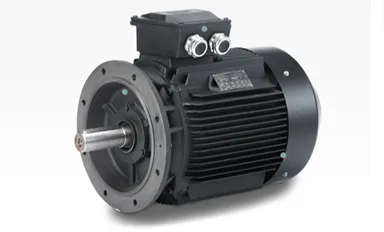 HMC2 Hoyer Động cơ điện 315L3-4 291 kW