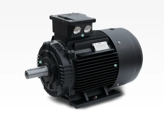Hoyer Electric Motor - Động cơ điện IE3 - Hoyer Vietnam - TTN Vietnam