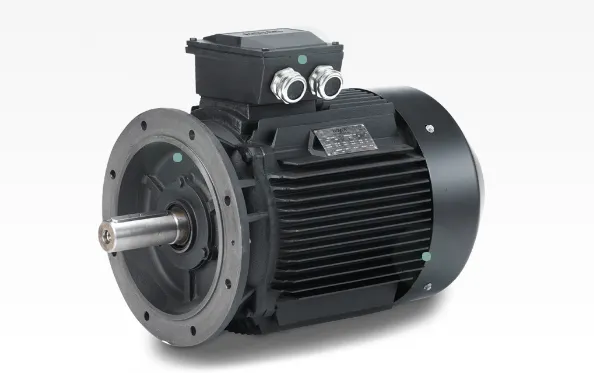 Hoyer IE2 Marine Motors - Động cơ cho hàng hải IE2 - Hoyer Vietnam