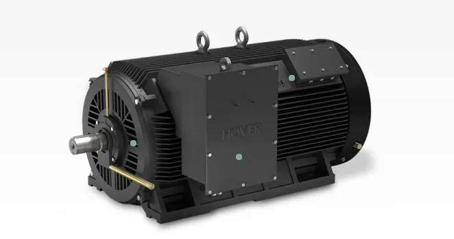 Hoyer - Medium Voltage Motor - Mô tơ trung thế Hoyer Vietnam