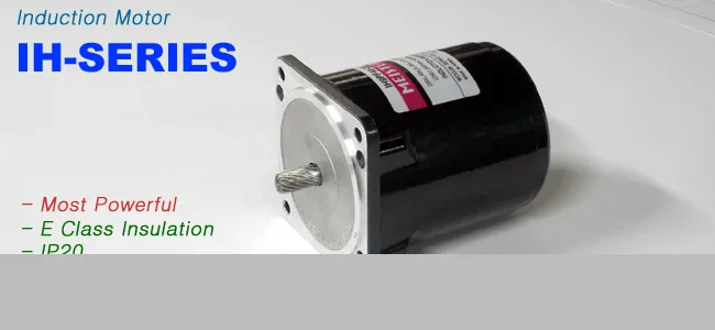 Induction Motor