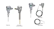 Intrinsic safety and increased safety type thermocouple and resistance temperature detector Wise Control