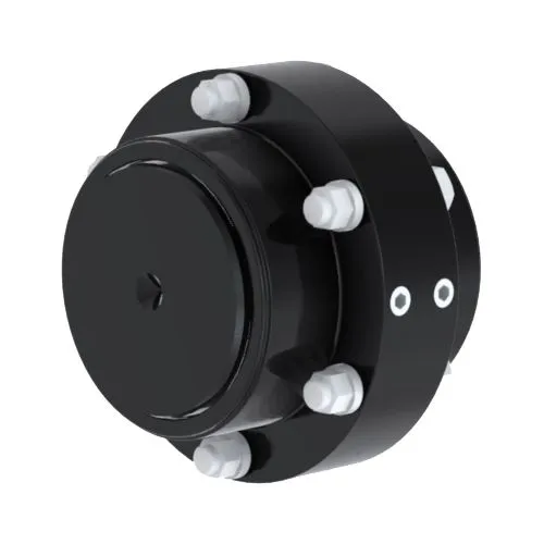 Khớp nối bánh răng FST ESCO Westcar