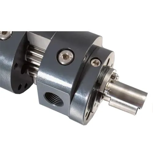 MÁY BƠM PE:10001248 / ZPBD 2-23,60-KIK-L-FCB/R/MAG(20-G)/V1 Beinlich-pumps