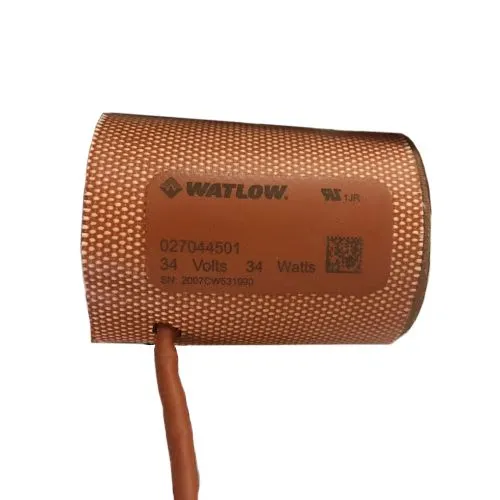 Máy gia nhiệt F6064104501202,700-11116 Watlow