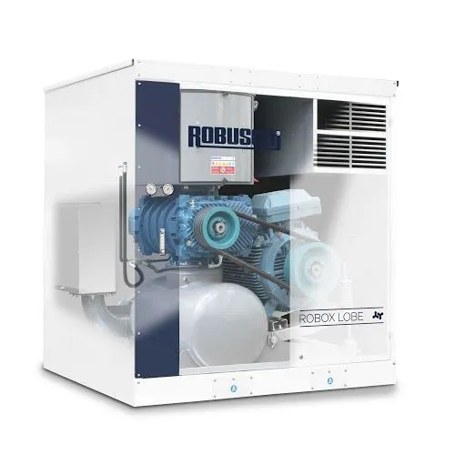 Máy thổi trục vít Robox Lobe Robuschi