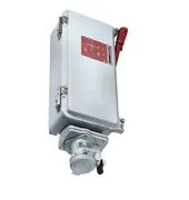 MD2SR Factory Sealed Interlocked Switched Receptacles