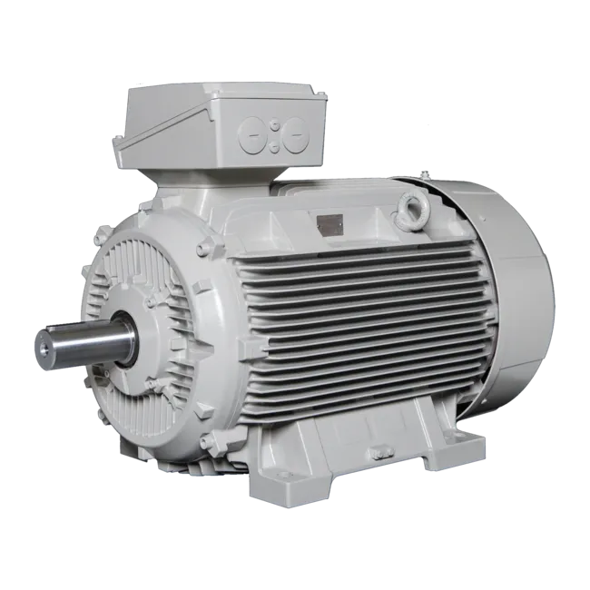 Motor 120299560221 Lammers