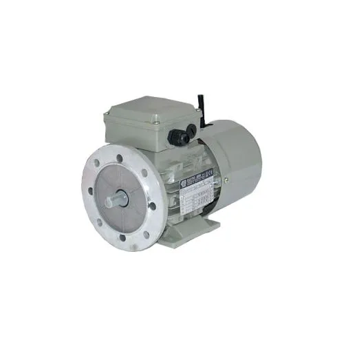Motor serial number D1303139 C225MTFECCL/4 Electro Adda Vietnam