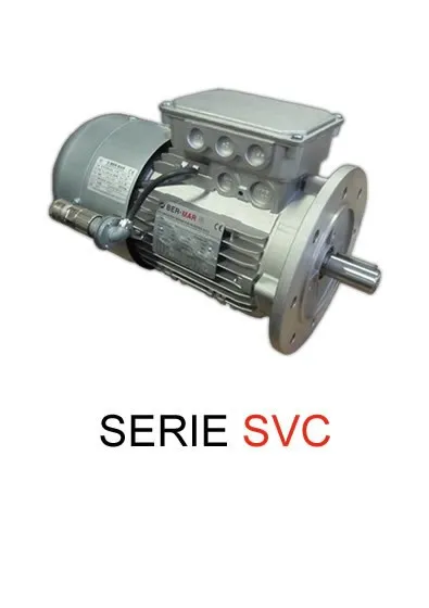 Motor with encoder and forced ventilation independent of the shaft (IC416).