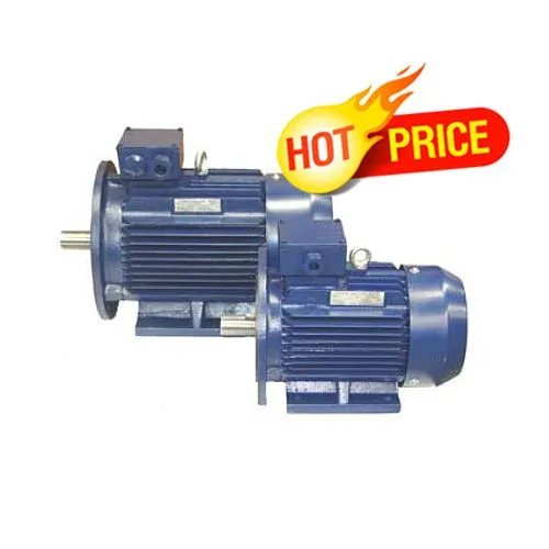 Motor Y2-160M-4TH HENGSHUI