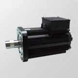 PM Servo Motor Meiden